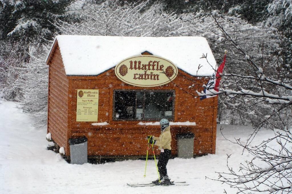 Skiing, Hiking, Village Of Eville Mtn Escape Ellicottville Exteriér fotografie